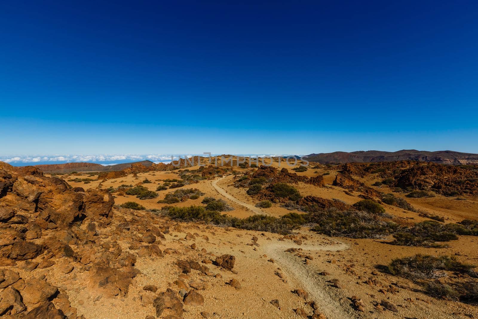 Teide National Park, Tenerife, Canary Islands, Spain