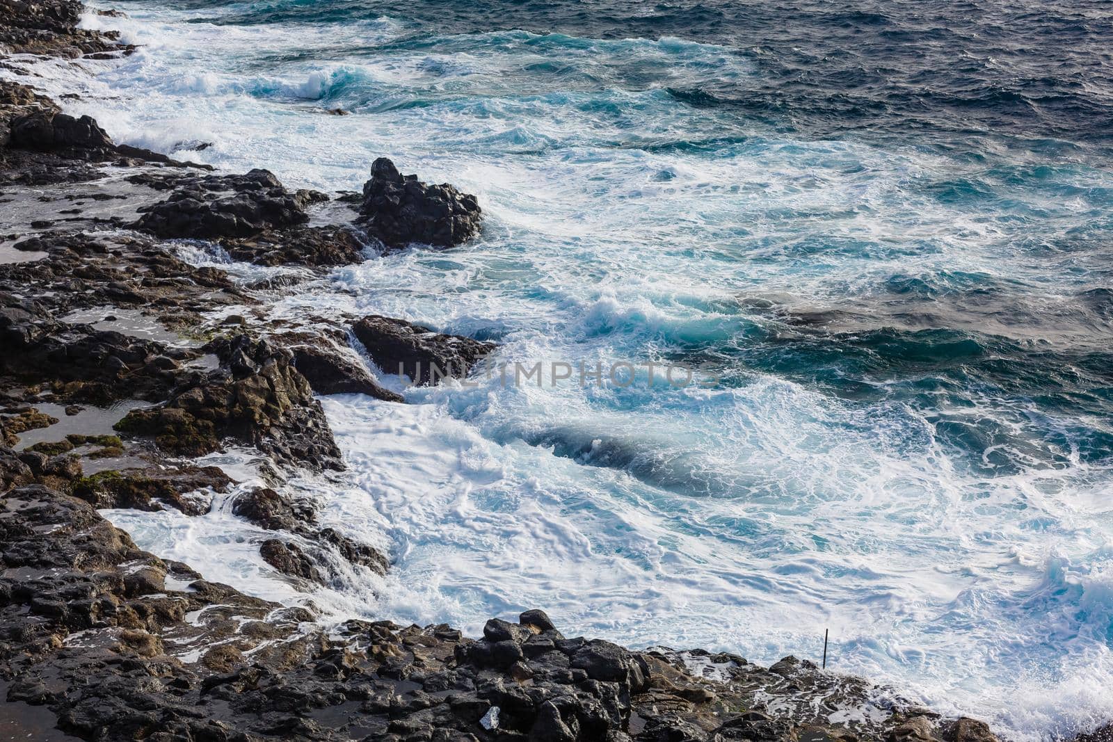 Atlantic ocean wild coast, Tenerife, Canary islands, Spain
