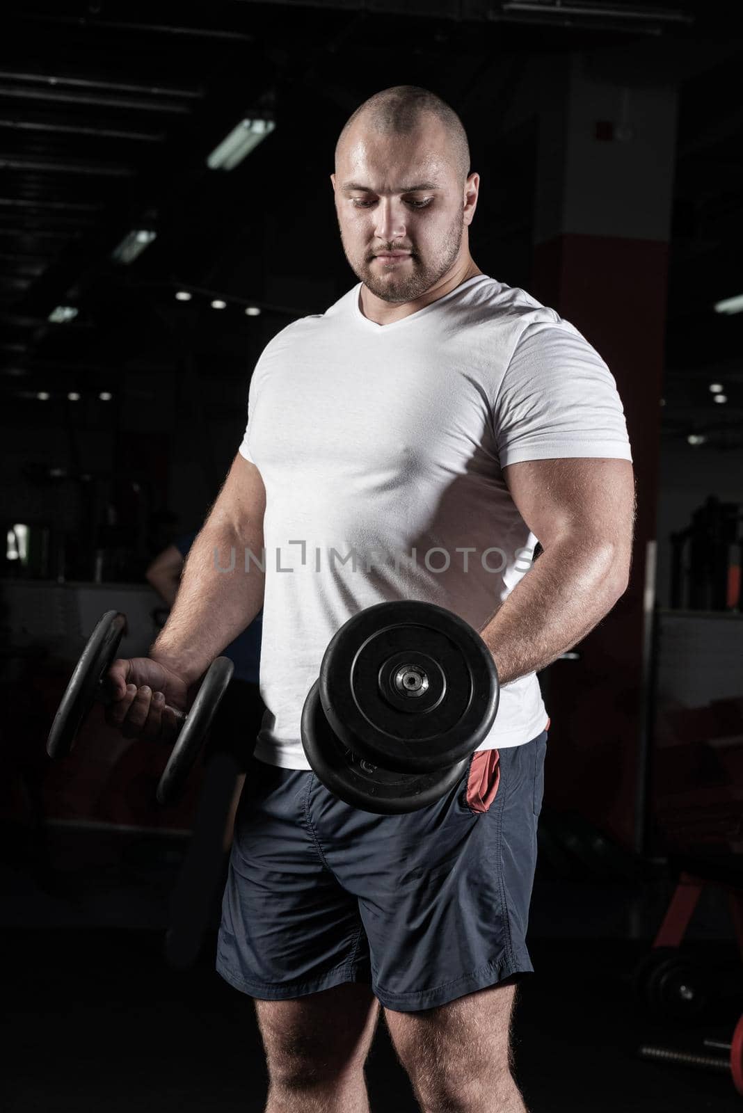 Male bodybuilder engaged with dumbbells in the gym by adam121