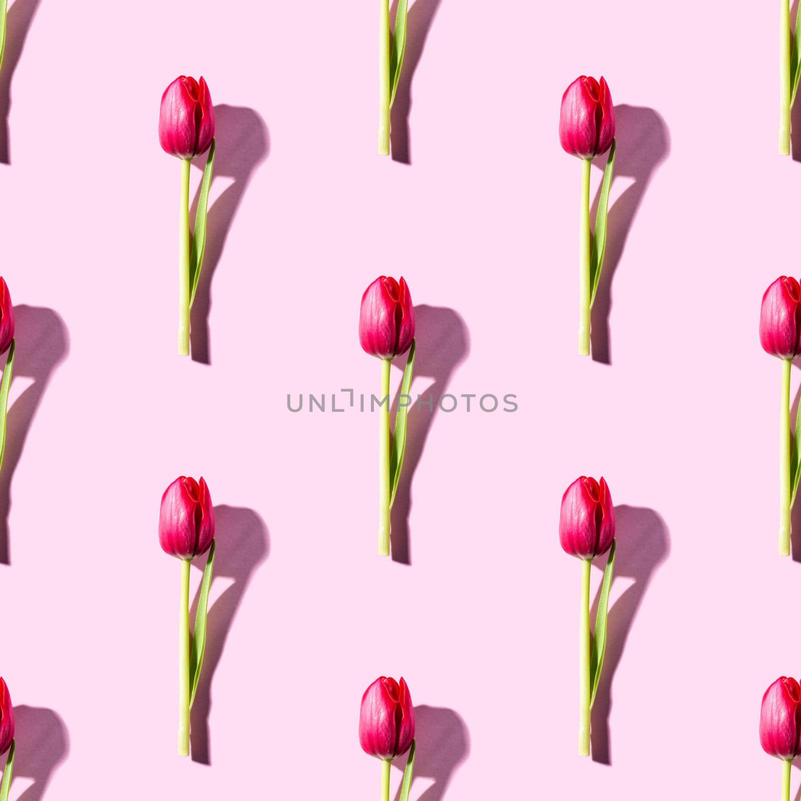 Photographic collage with dark pink tulips, Easter background. Top view, flat lay. Seamless pattern for Birthday, mother day wrapping paper concept.