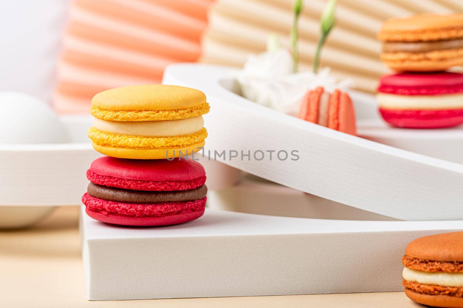 Colorful french macaron dessert. Set of various different tastes and color macaroon cookies with white circles on pink background. Festive greeting card concept with copy space