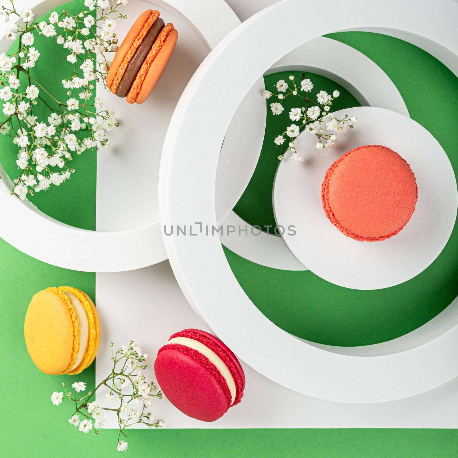 Overhead shot of macaron or macaroon cookies with white circles and flowers on green background from above, colorful almond small cakes, modern greetings card, top view