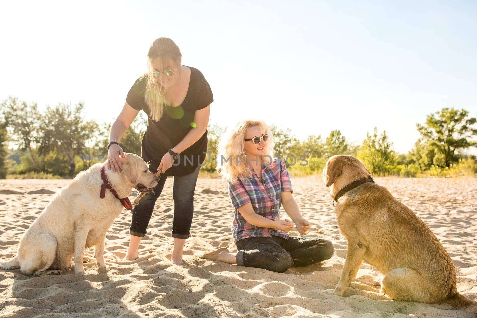 Two labrador friends playing on the beach. Two young women with two dogs in the sand