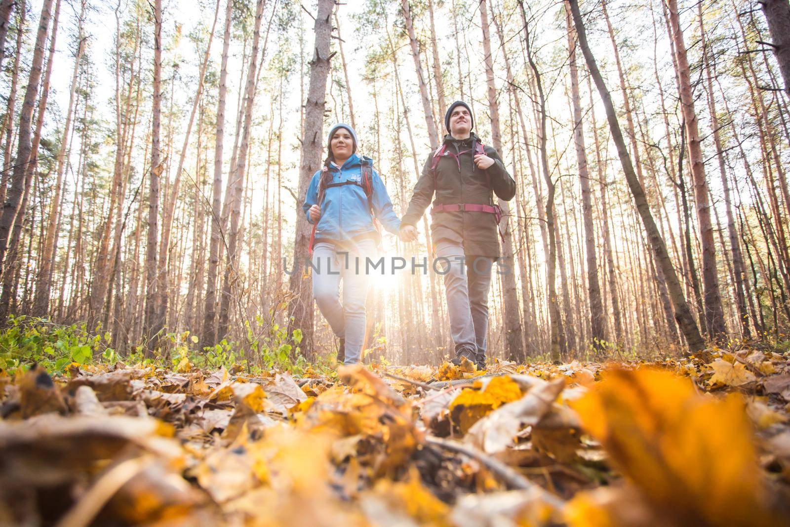 People, camping trip and nature concept - Low-angle shot of tourist couple hiking in forest.