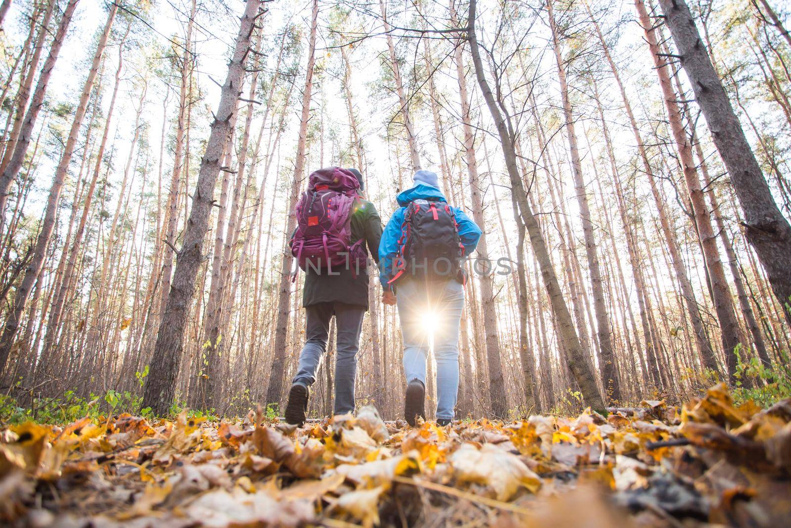 adventure, travel, tourism, hike and people concept - smiling couple walking with backpacks over autumn natural background.