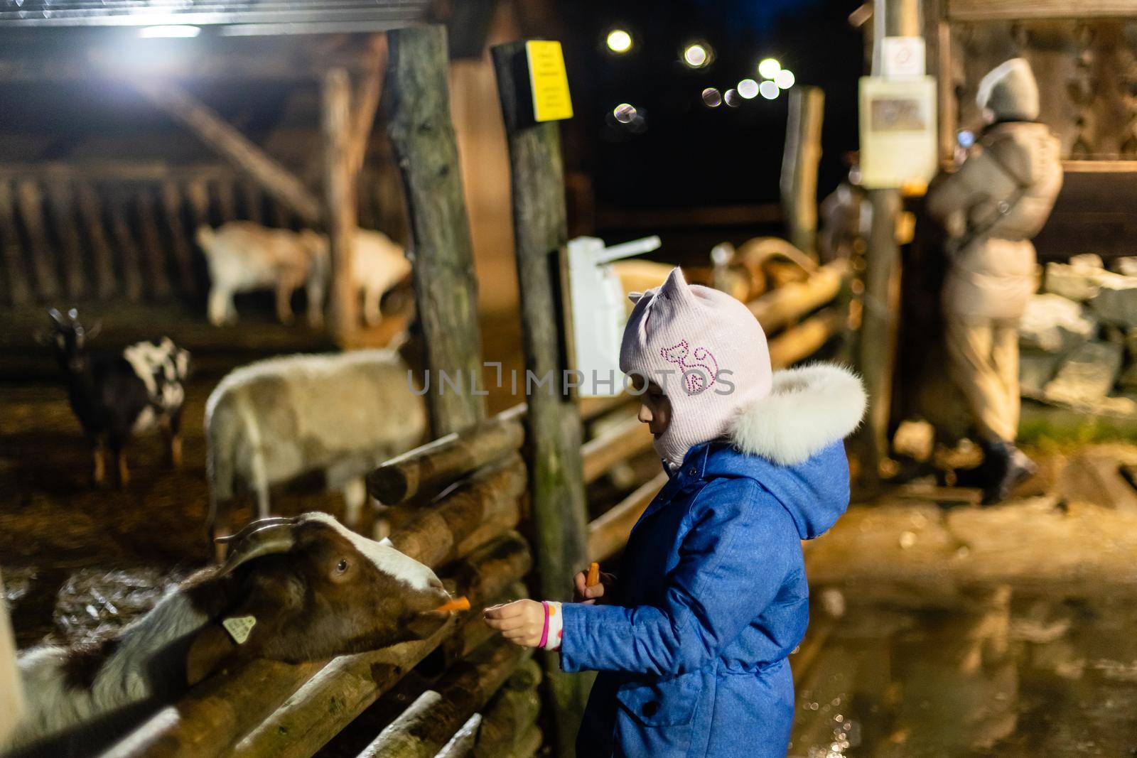 Cute little girl feeding a sheep at farm. Happy girl on family weekend on the country side. Friendship of child and animals. by Andelov13