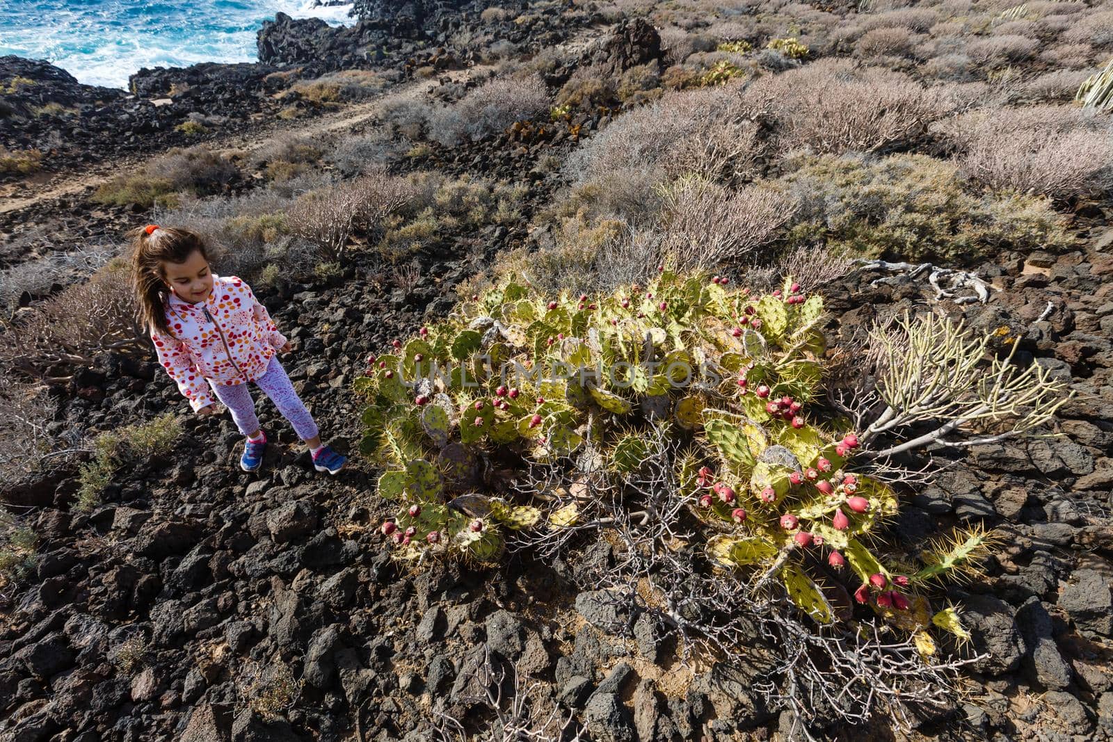 little girl stands near a cactus on the island of tenerife