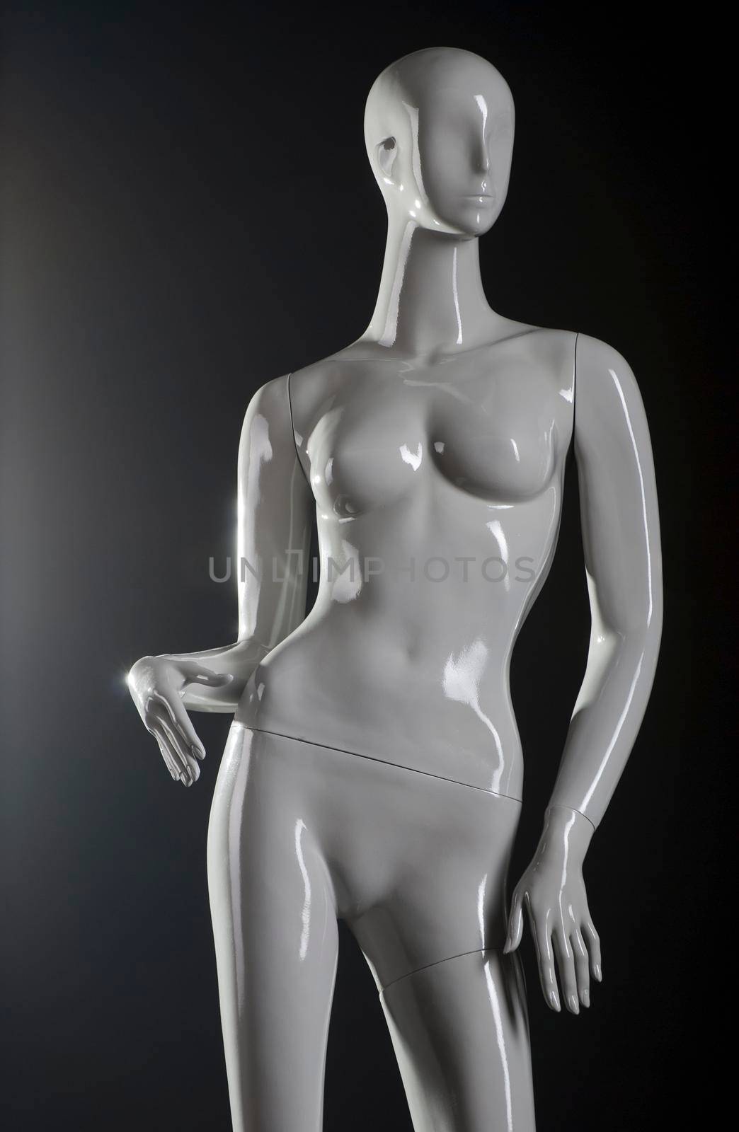 Female fashion mannequin by Julenochek