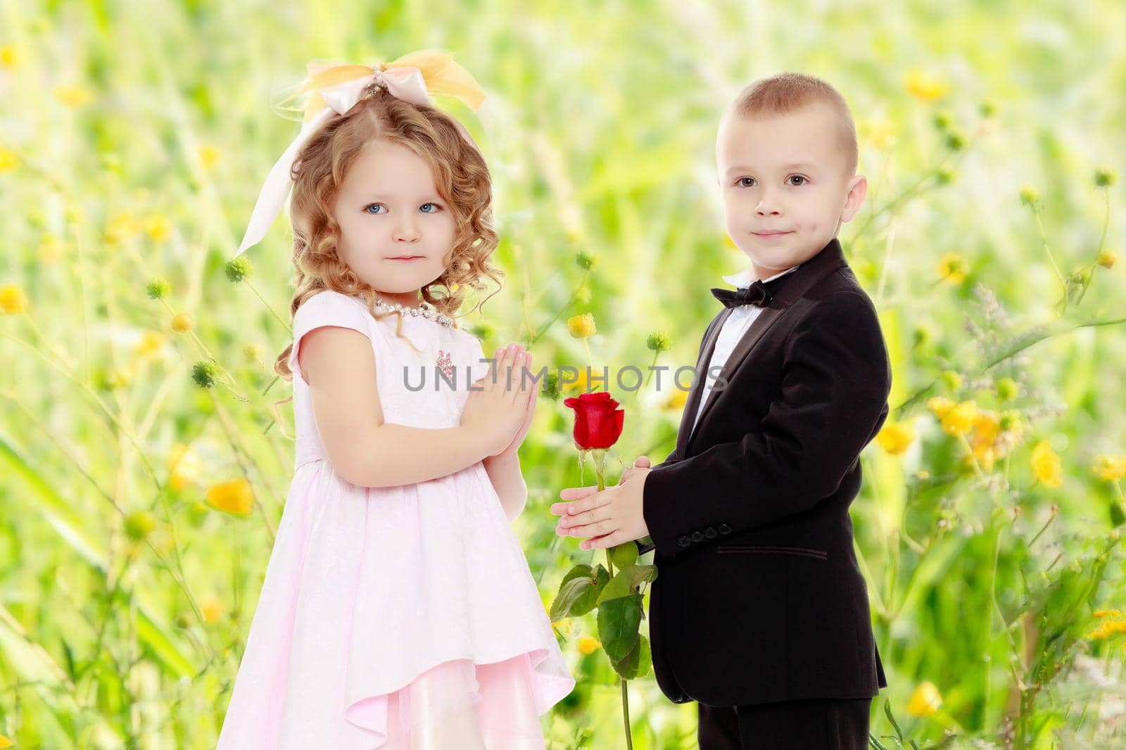 Little boy in black suit with bow tie gives a big red rose charming little girl.Summer white green blurred background.
