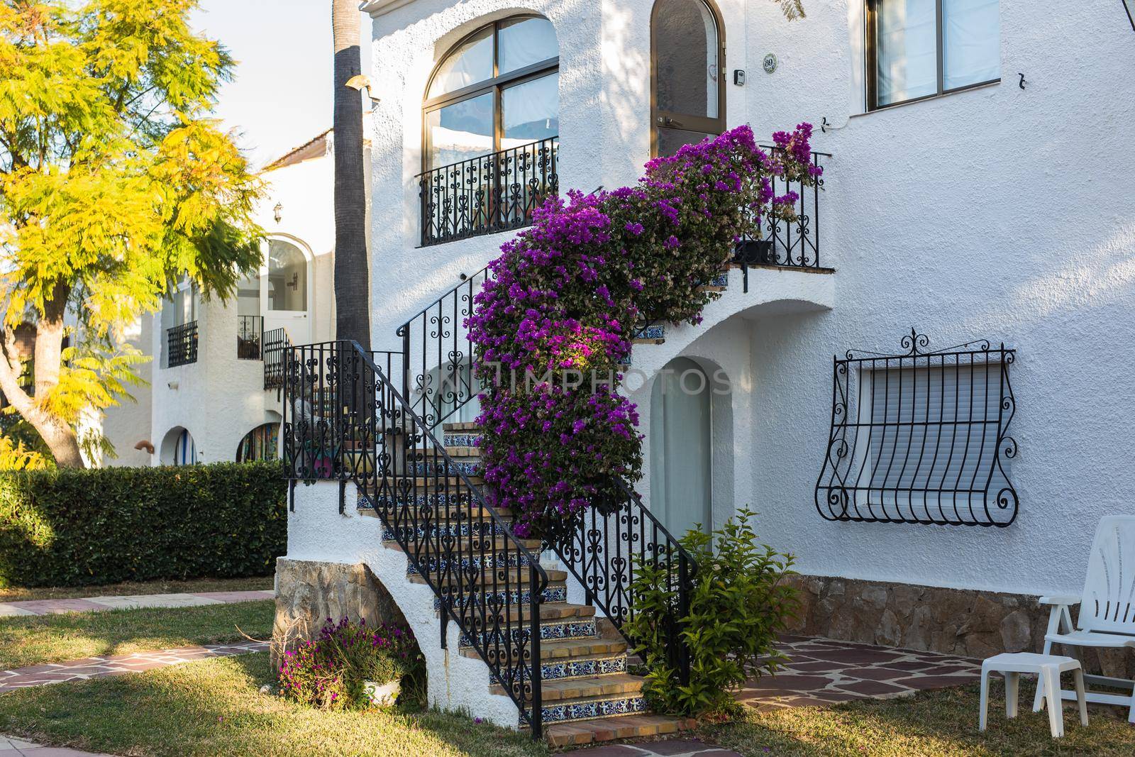 Beautiful exterior of newly built luxury home. Yard with green grass and walkway by Satura86