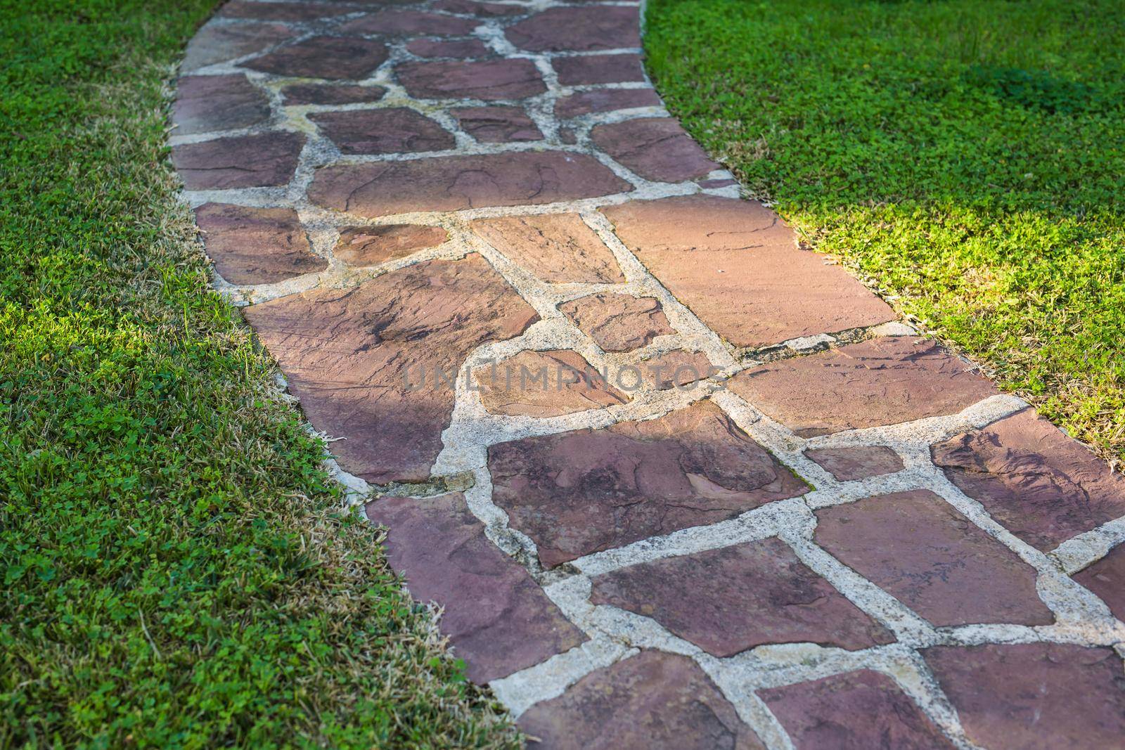 Paving Stones Road Texture in summer park.