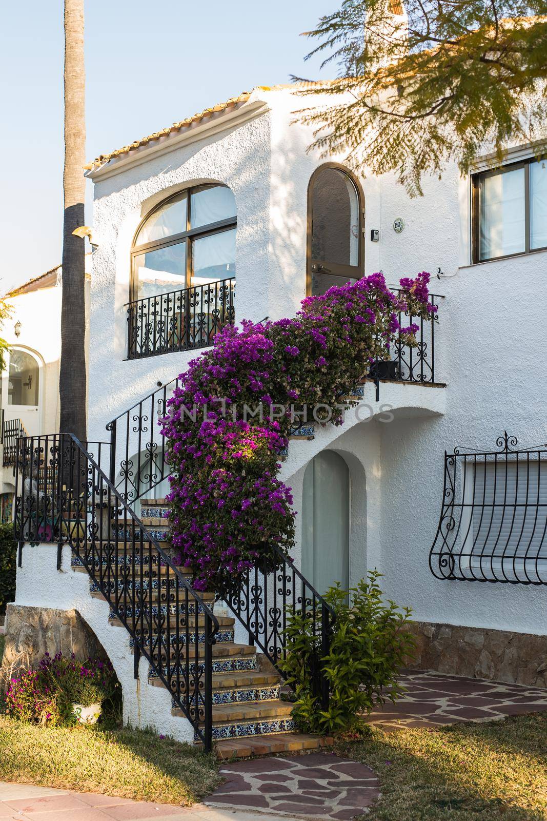 Beautiful exterior of newly built luxury home. Yard with green grass and walkway by Satura86