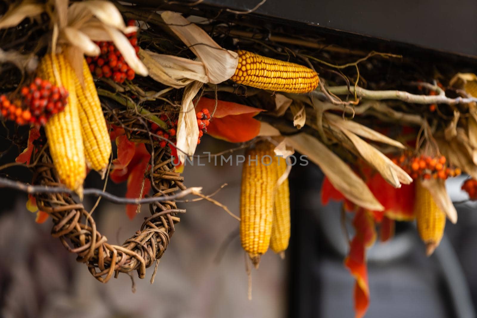 Ripe yellow corn stover string above the door of rural farmhouse symbol of fertility