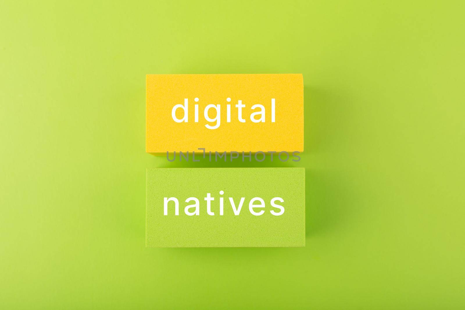 Digital natives inscription on rectangles against bright green background. Concept of digital technology age generation by Senorina_Irina