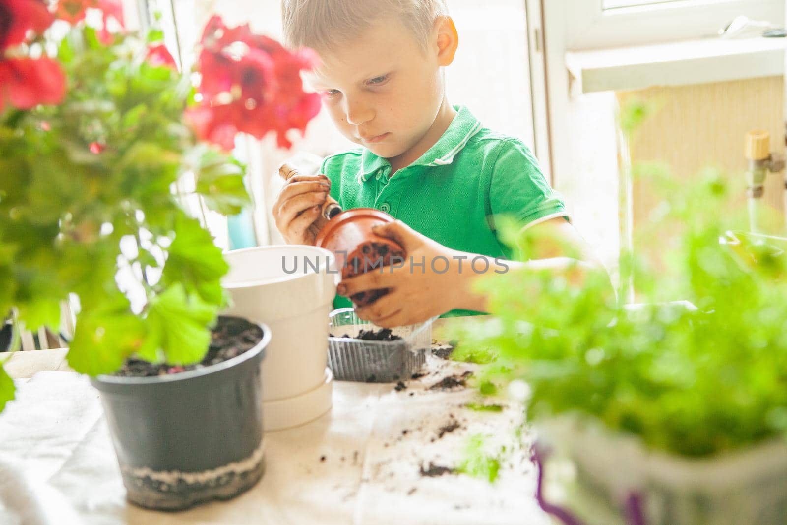 Focused boy in green t shirt pressing soil in pot while standing near table and gardening at sunlight at home