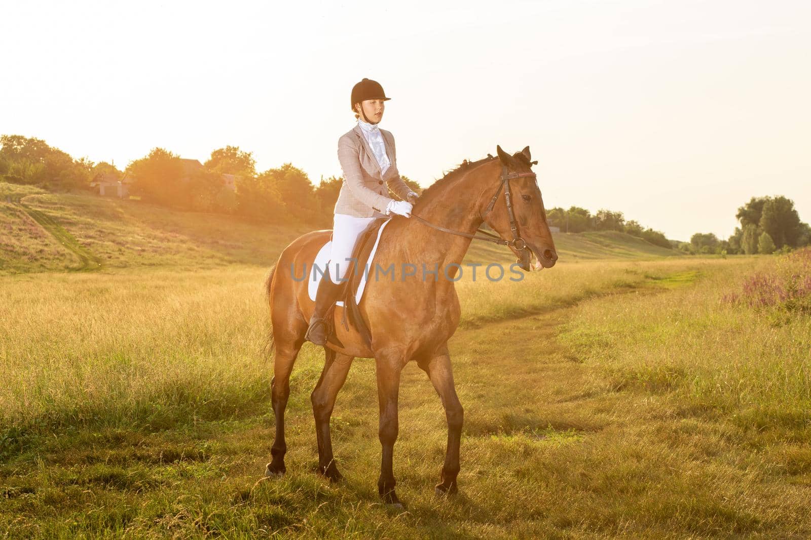 Equestrian sport. Young woman riding horse on dressage advanced test. Horse walk in summer. Sun flare