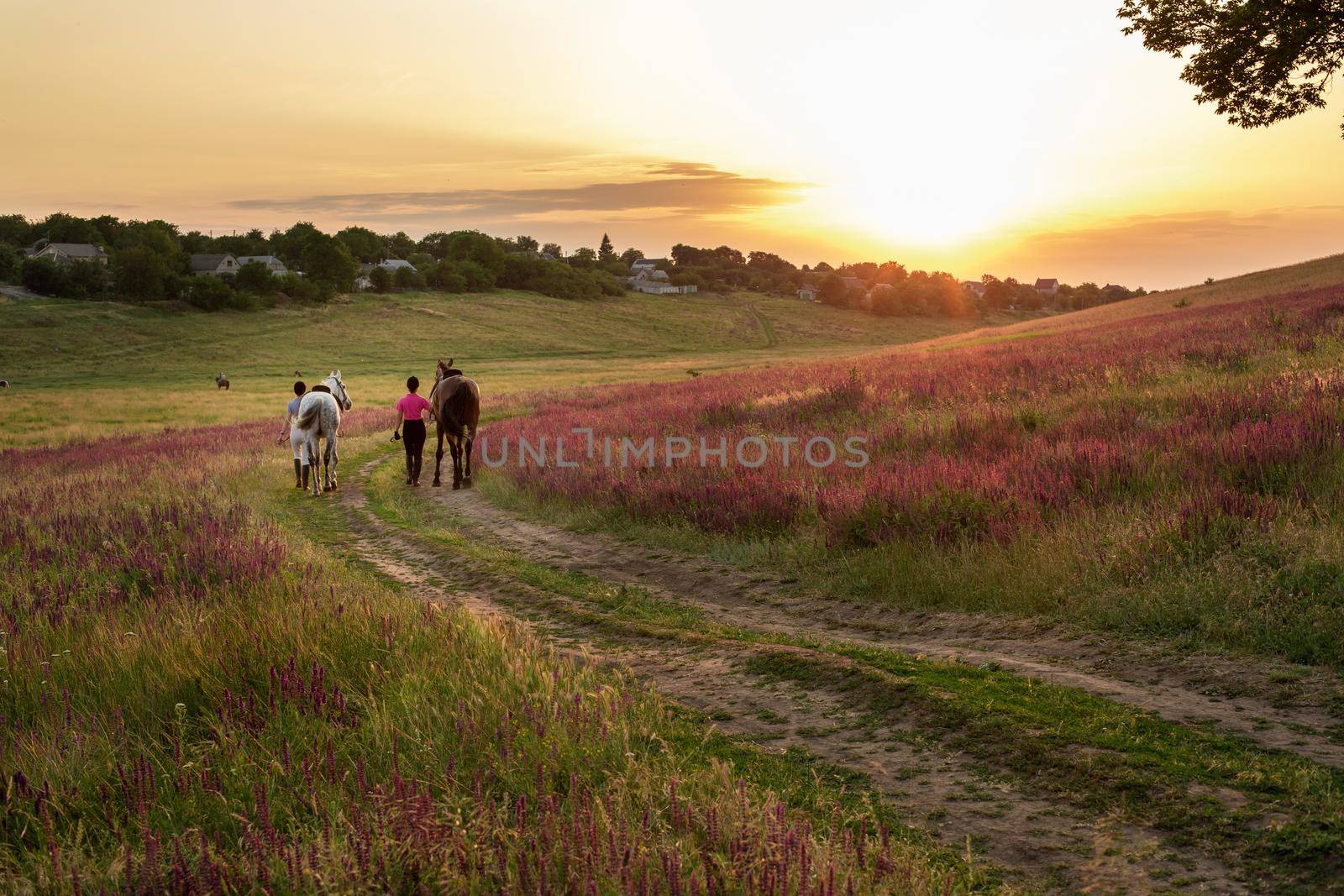 Two woman and two horses outdoor in summer happy sunset together nature by nazarovsergey