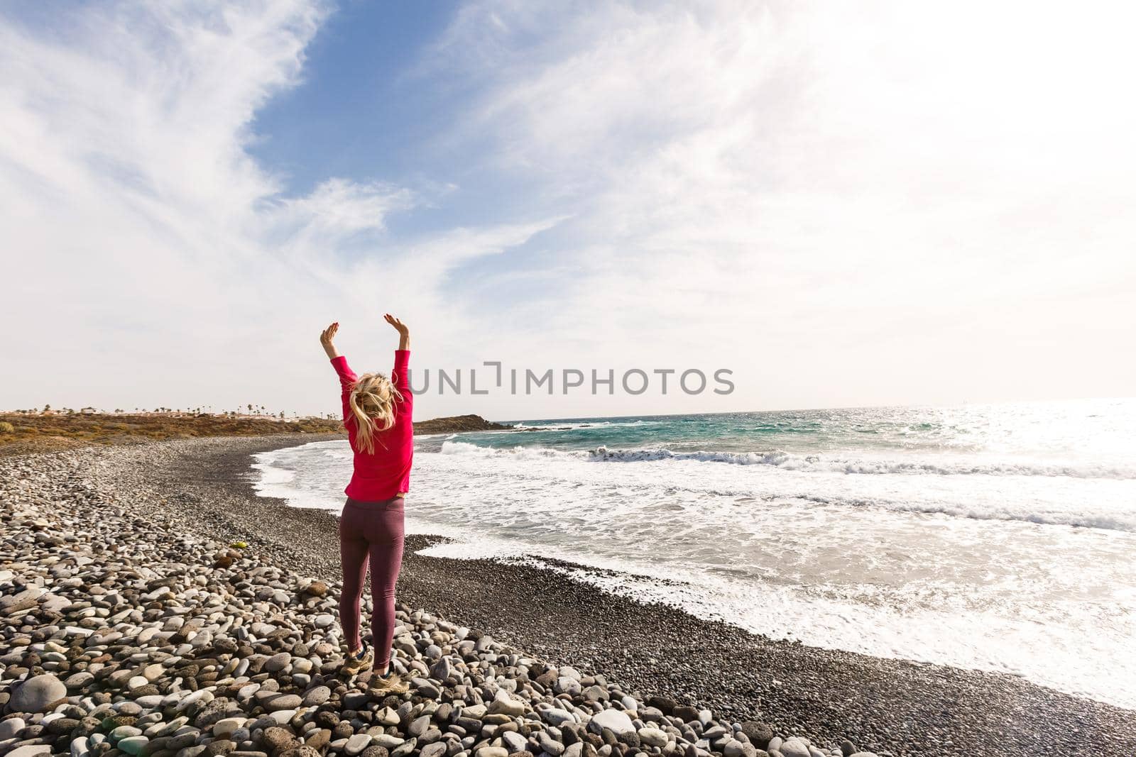 Atlantic ocean wild coast, Tenerife, Canary islands, Spain