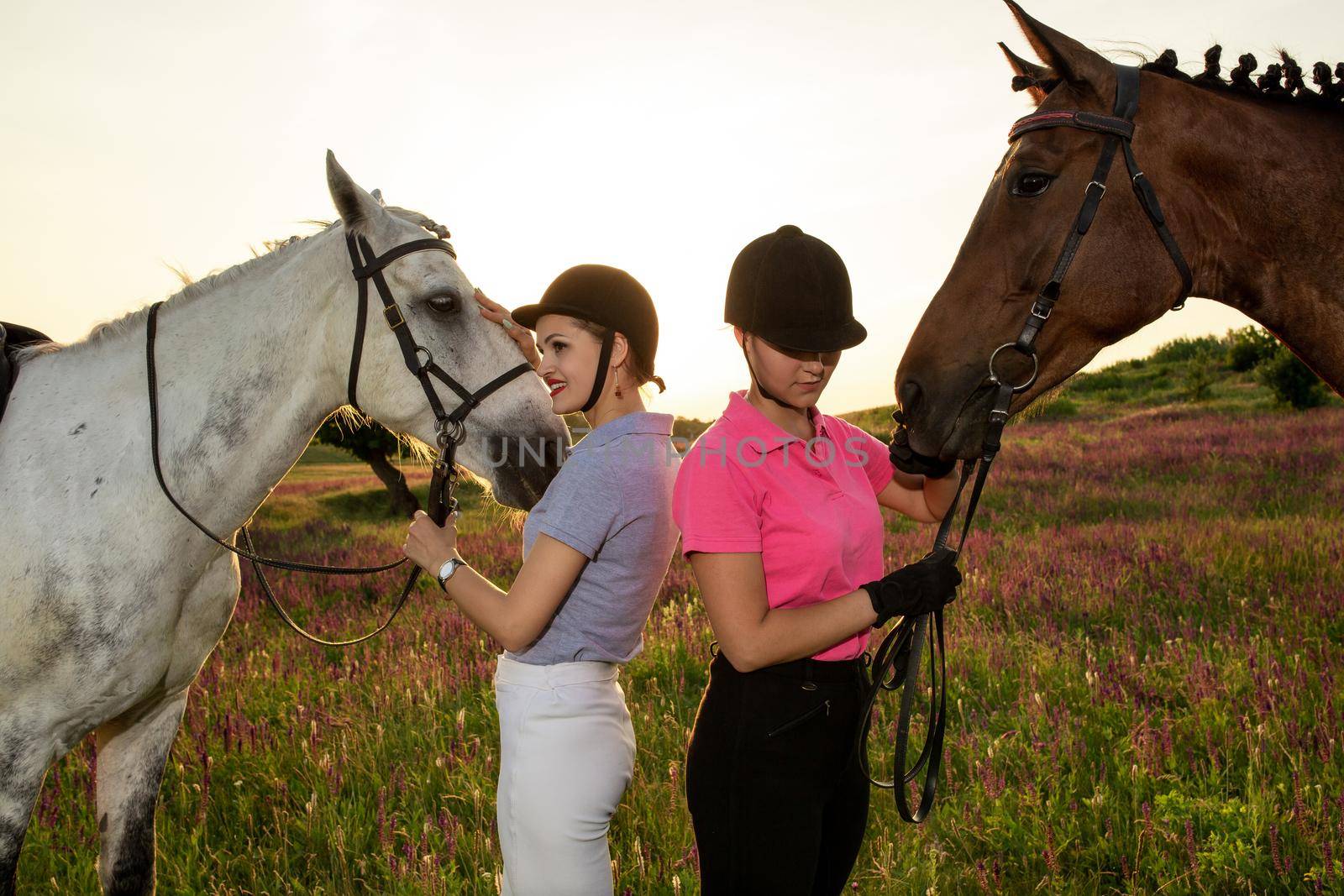 Two woman and two horses outdoor in summer happy sunset together nature. Taking care of animals, love and friendship concept.