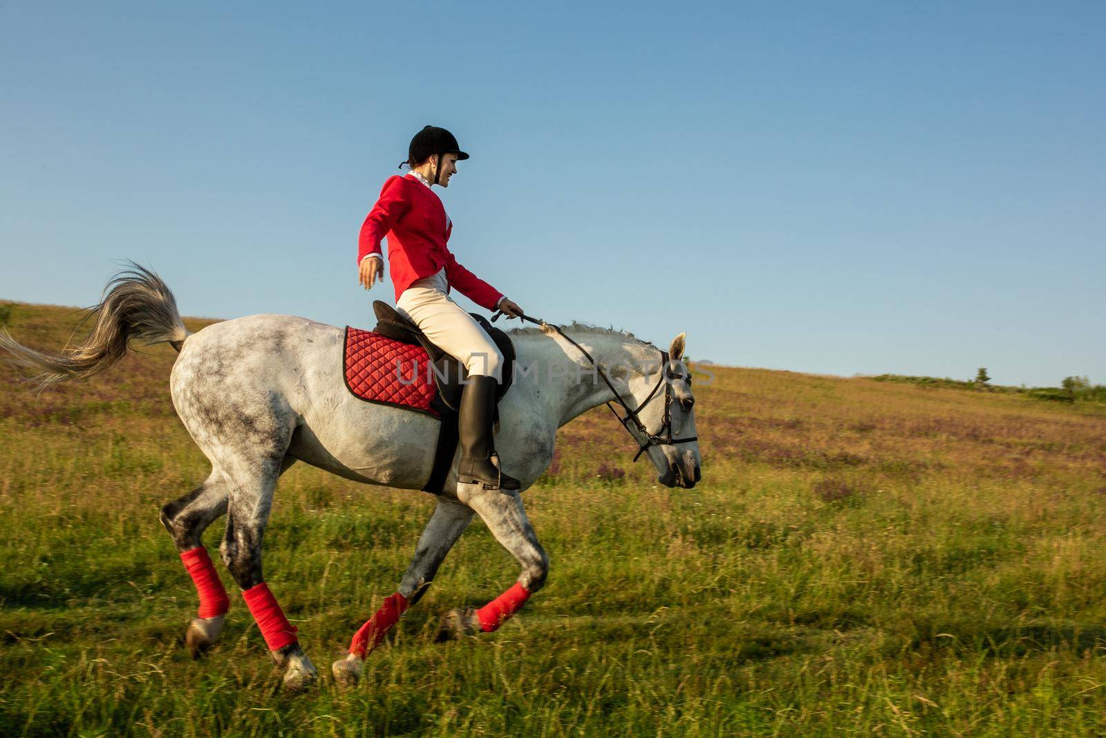 The horsewoman on a red horse. Horse riding. Horse racing. Rider on a horse. by nazarovsergey