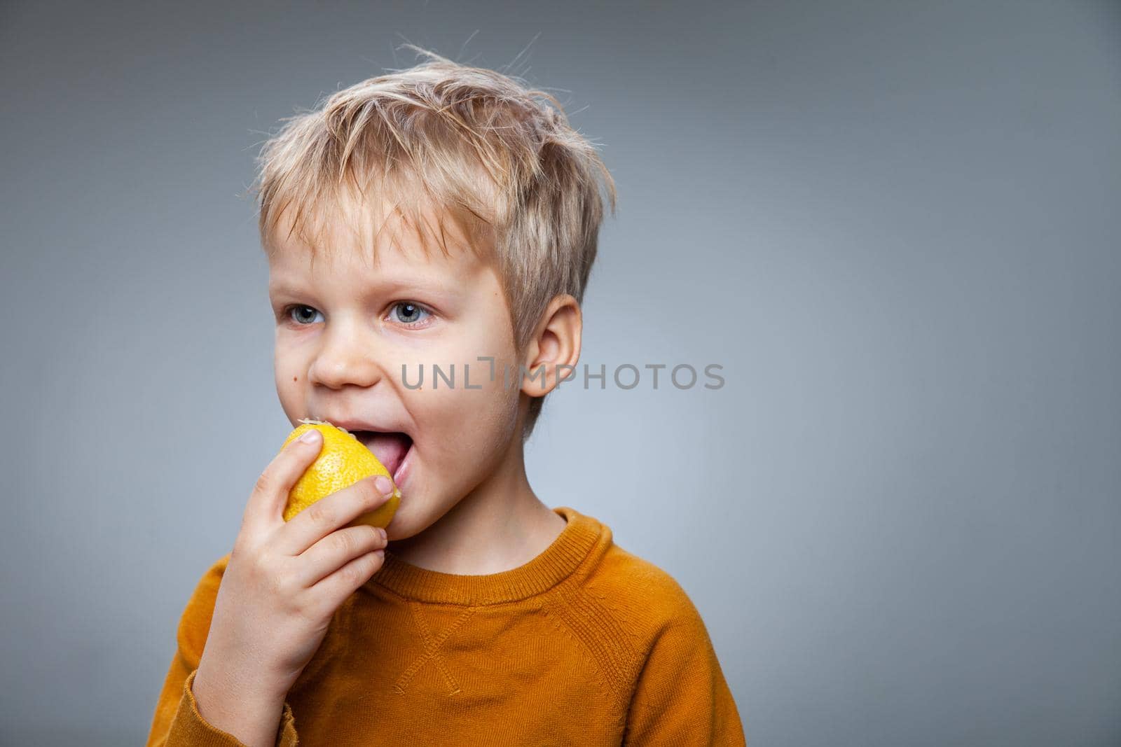 Adorable little boy with blond hair in casual clothes smiling while eating sour lemon against gray background
