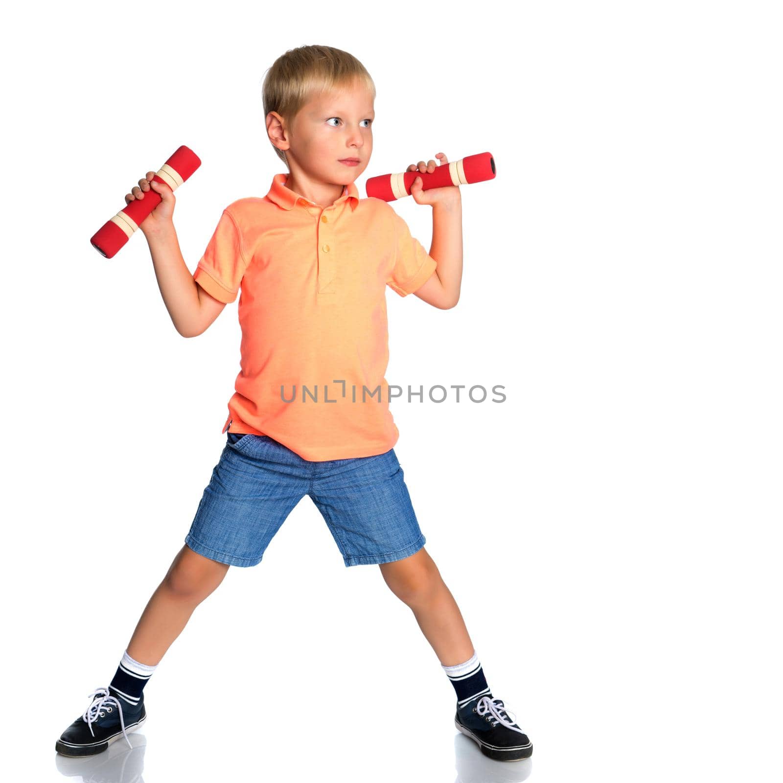 The little boy is engaged in fitness, he lifts dumbbells in the gym. The concept of a happy childhood, the development of children's sports. Isolated on white background.