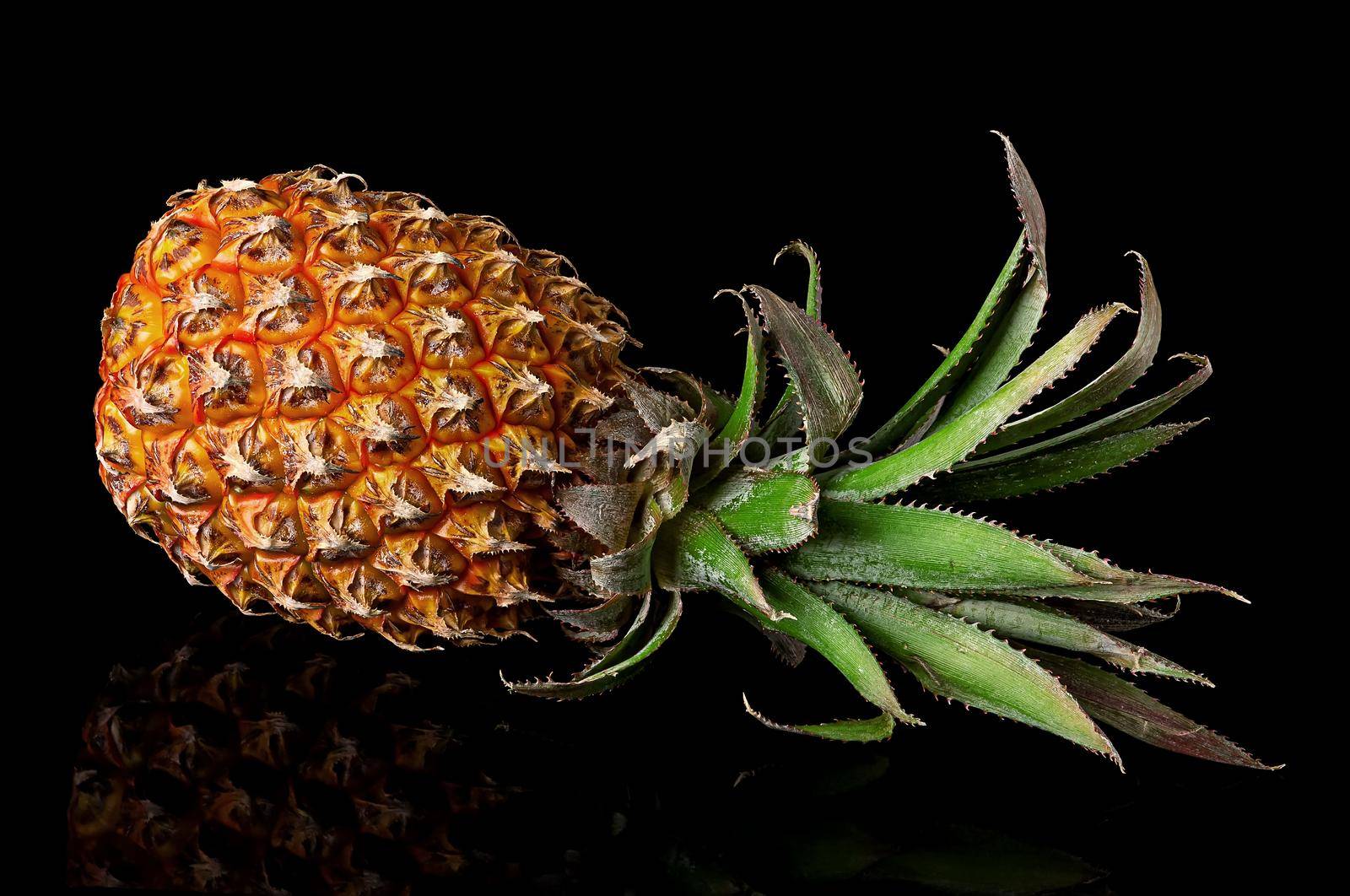 Single whole pineapple with reflection lies isolated on black by Cipariss