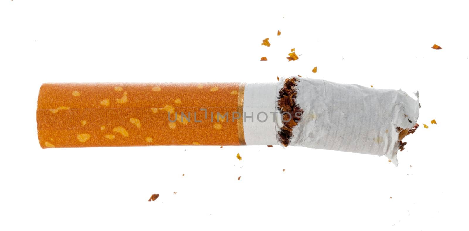 Broken cigarette isolated on white background close up by Fabrikasimf