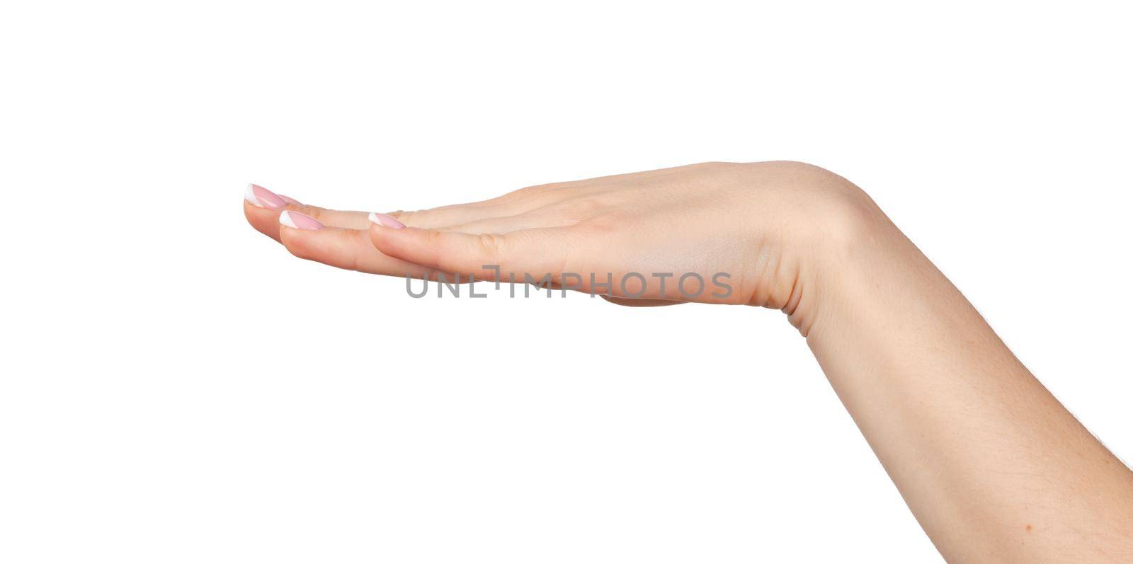 Female hand with palm down isolated on white background
