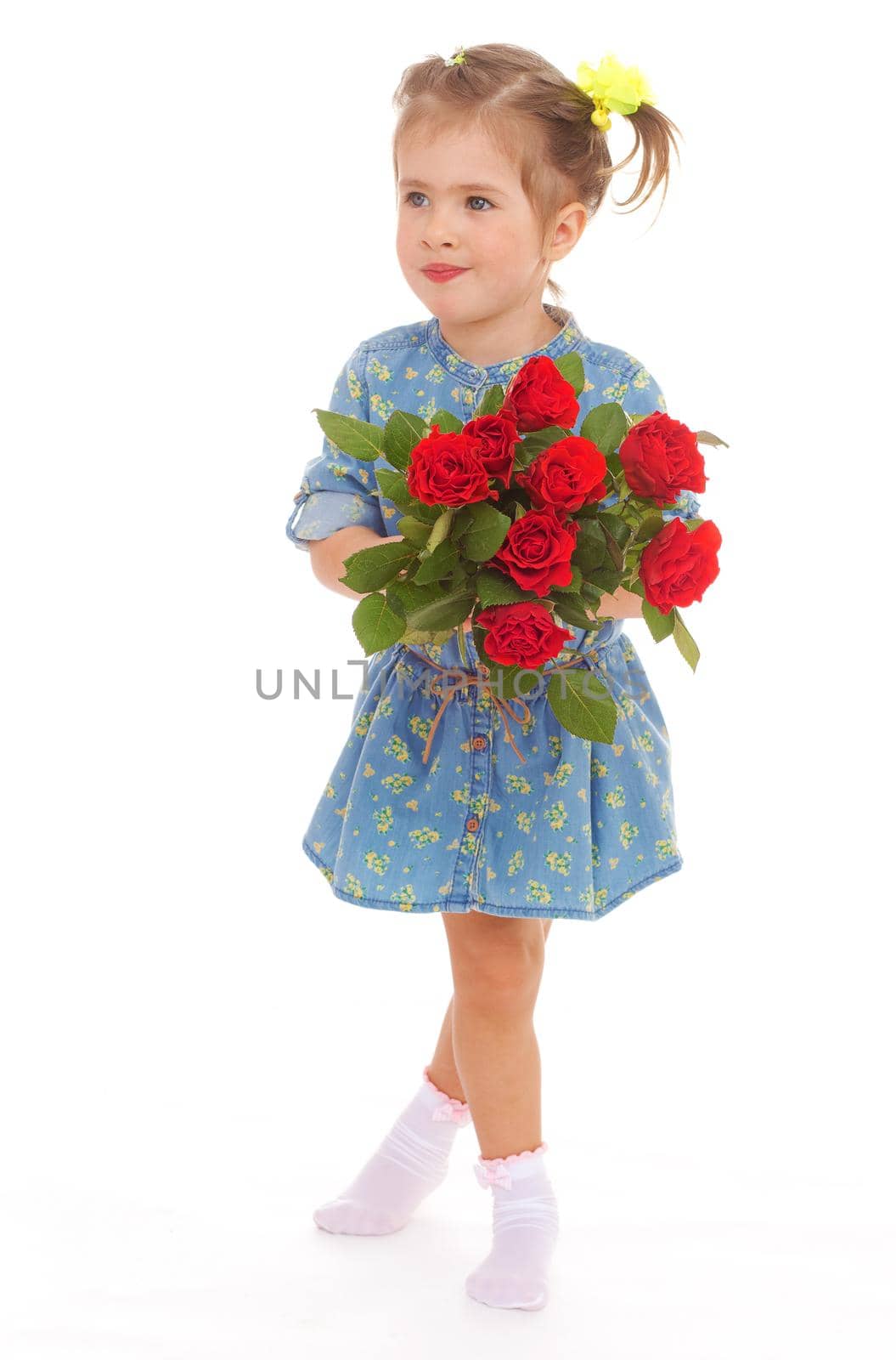 Little girl in a blue dress is a bouquet of red roses in his hands on a white background