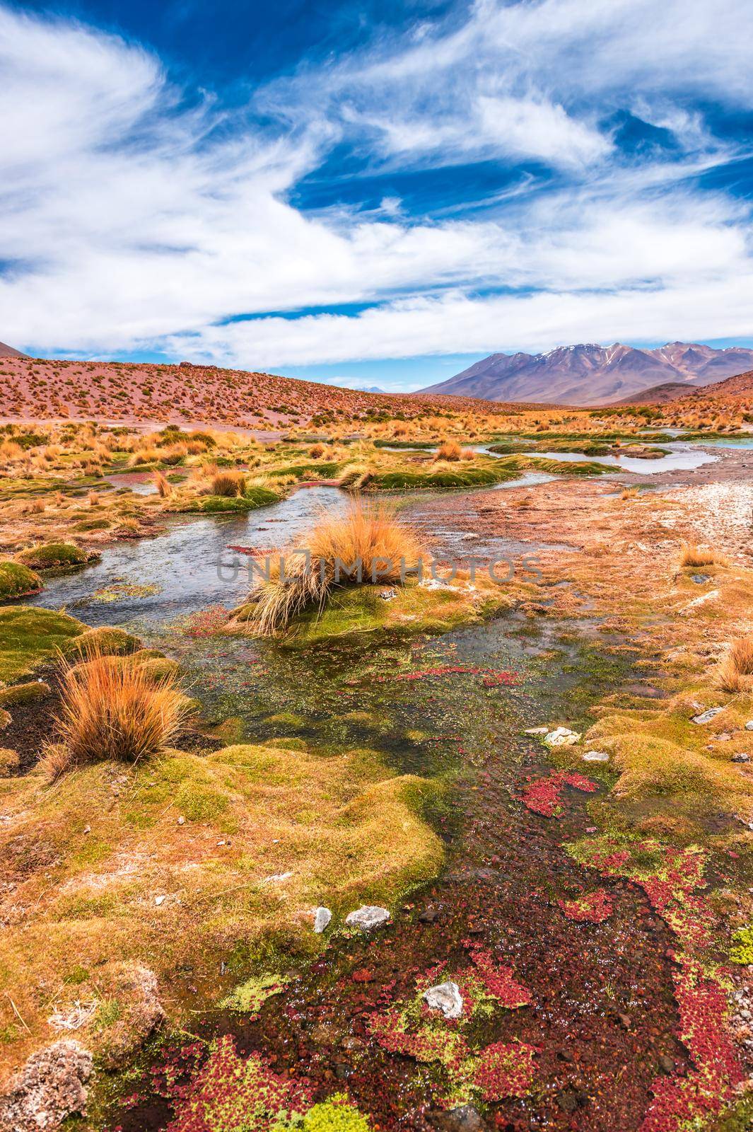 Breathtaking mountanious lagoon landscape of Bolivia