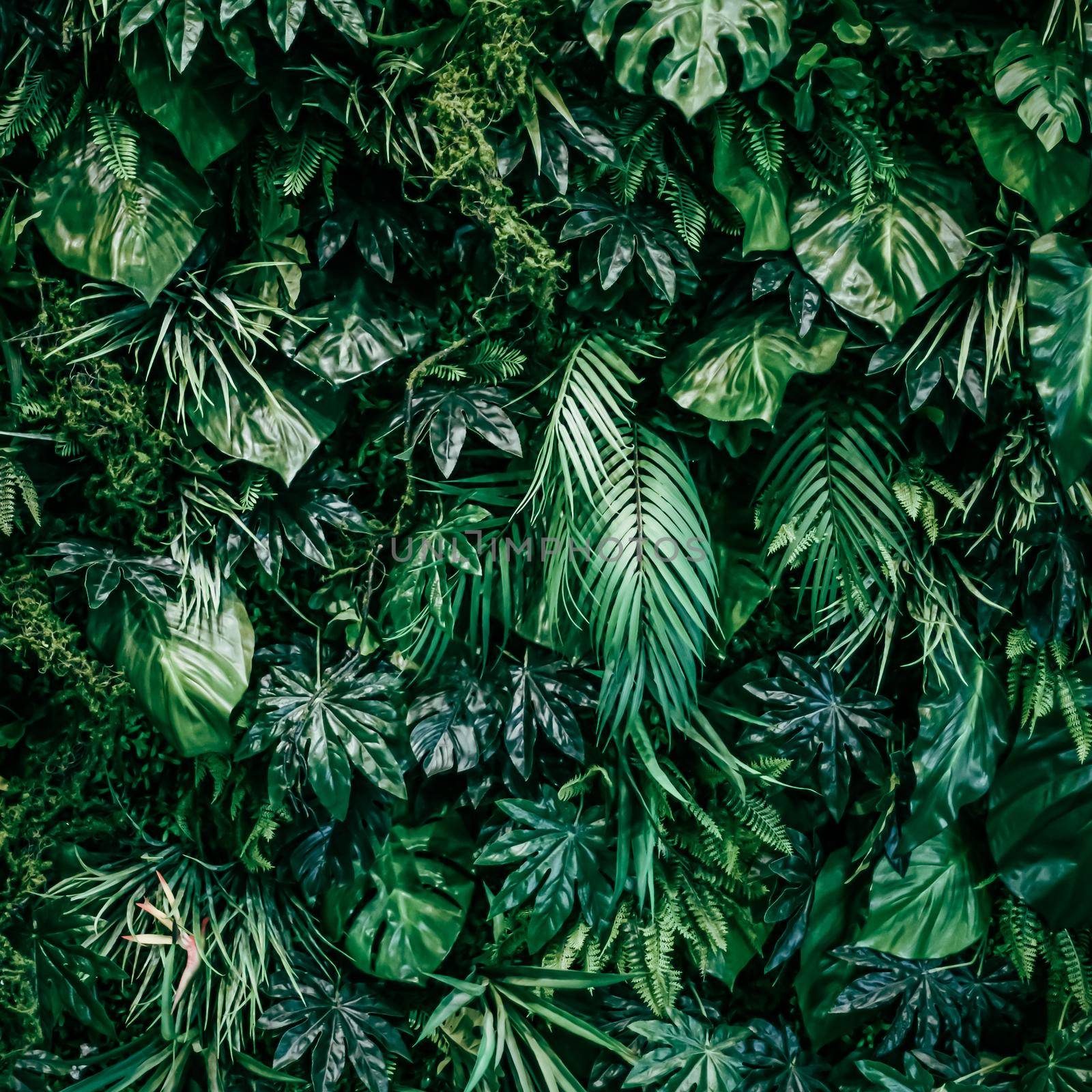 Tropical leaves as nature and environmental background, botanical garden and floral backdrop, plant growth and landscape design by Anneleven