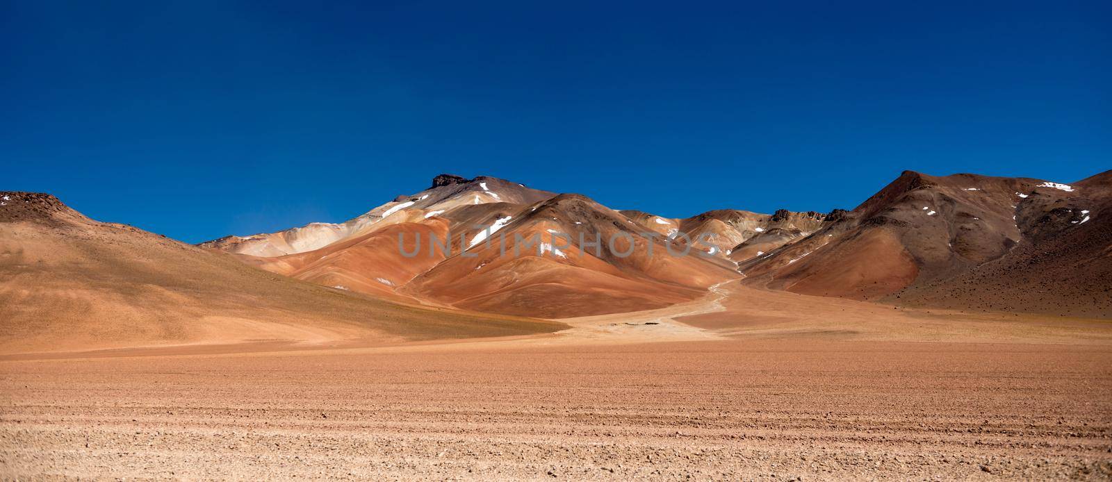 Panoramic view of sunshine Bolivian desert by tan4ikk1