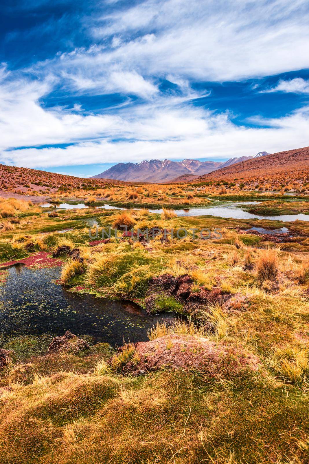 Lagoon landscape in Bolivia by tan4ikk1