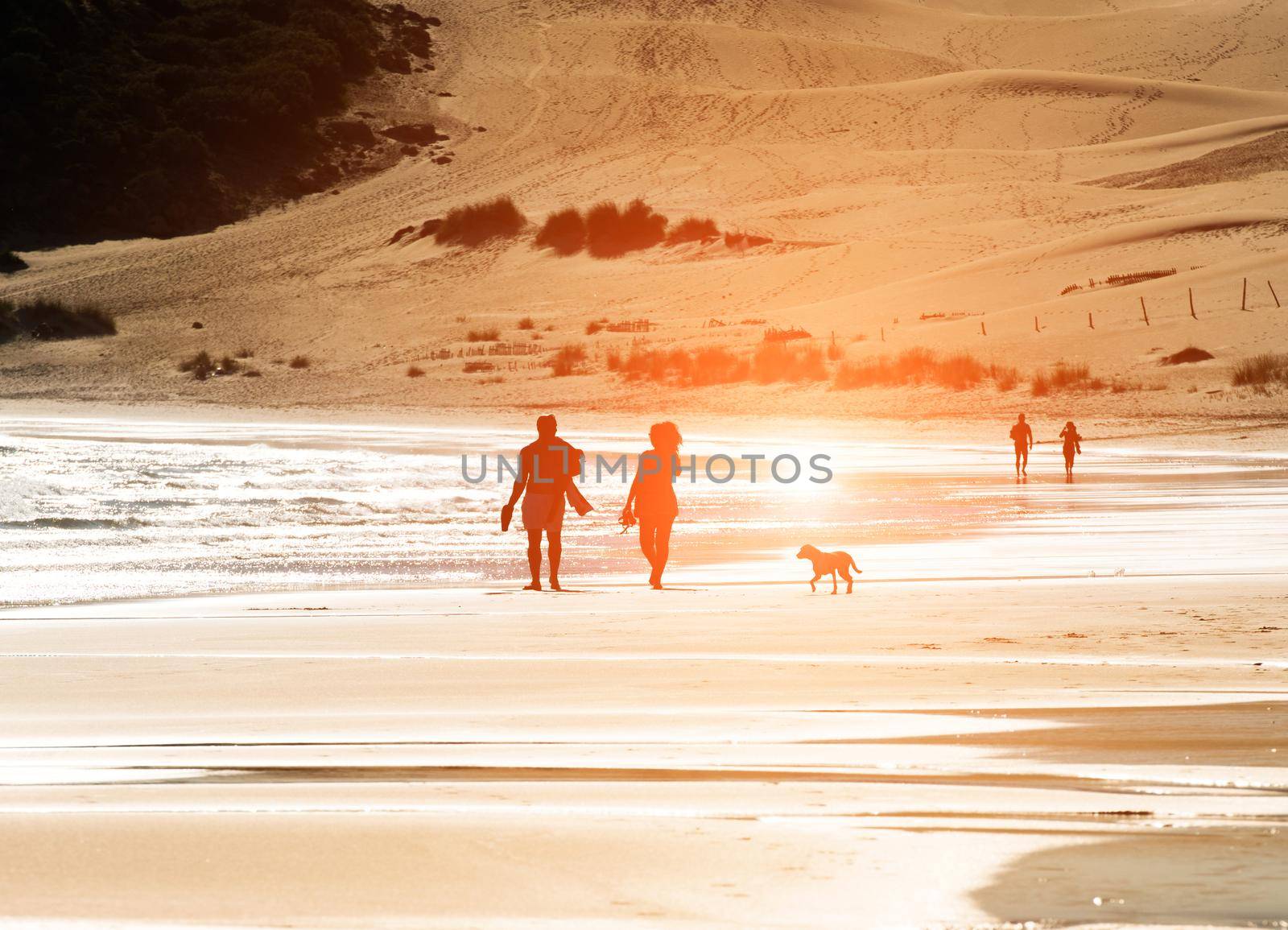 Silhouetted couple walking a dog on the beach