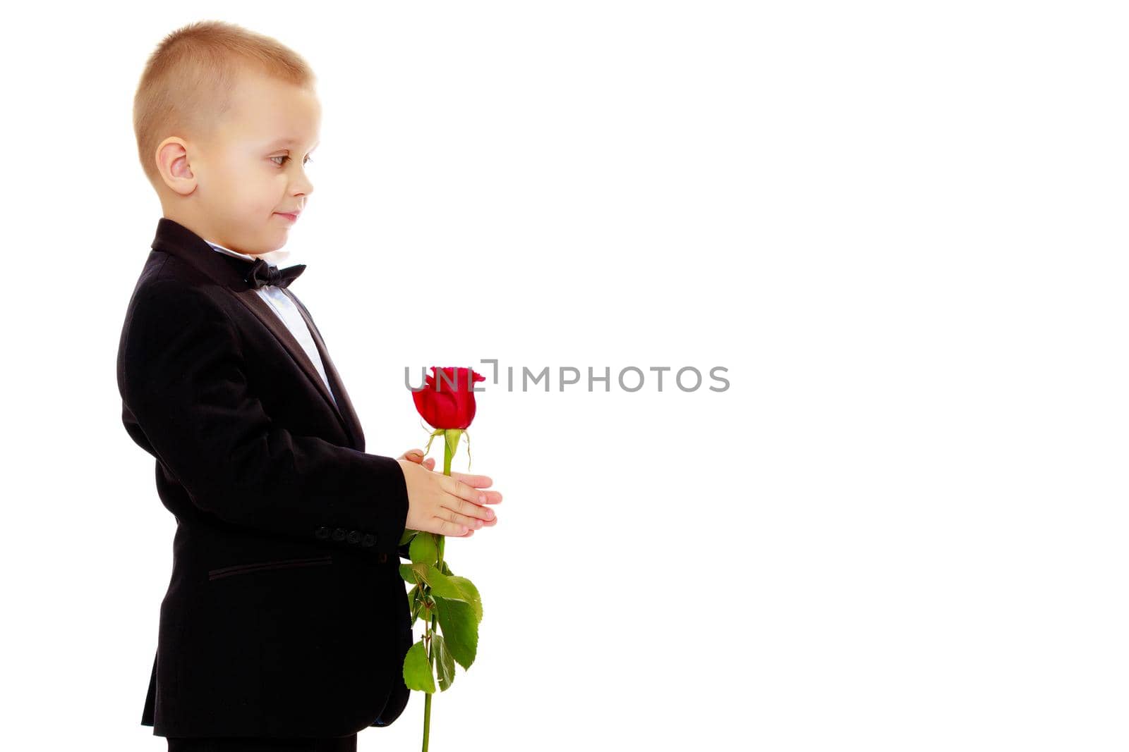 The boy gives the girl a flower. by kolesnikov_studio