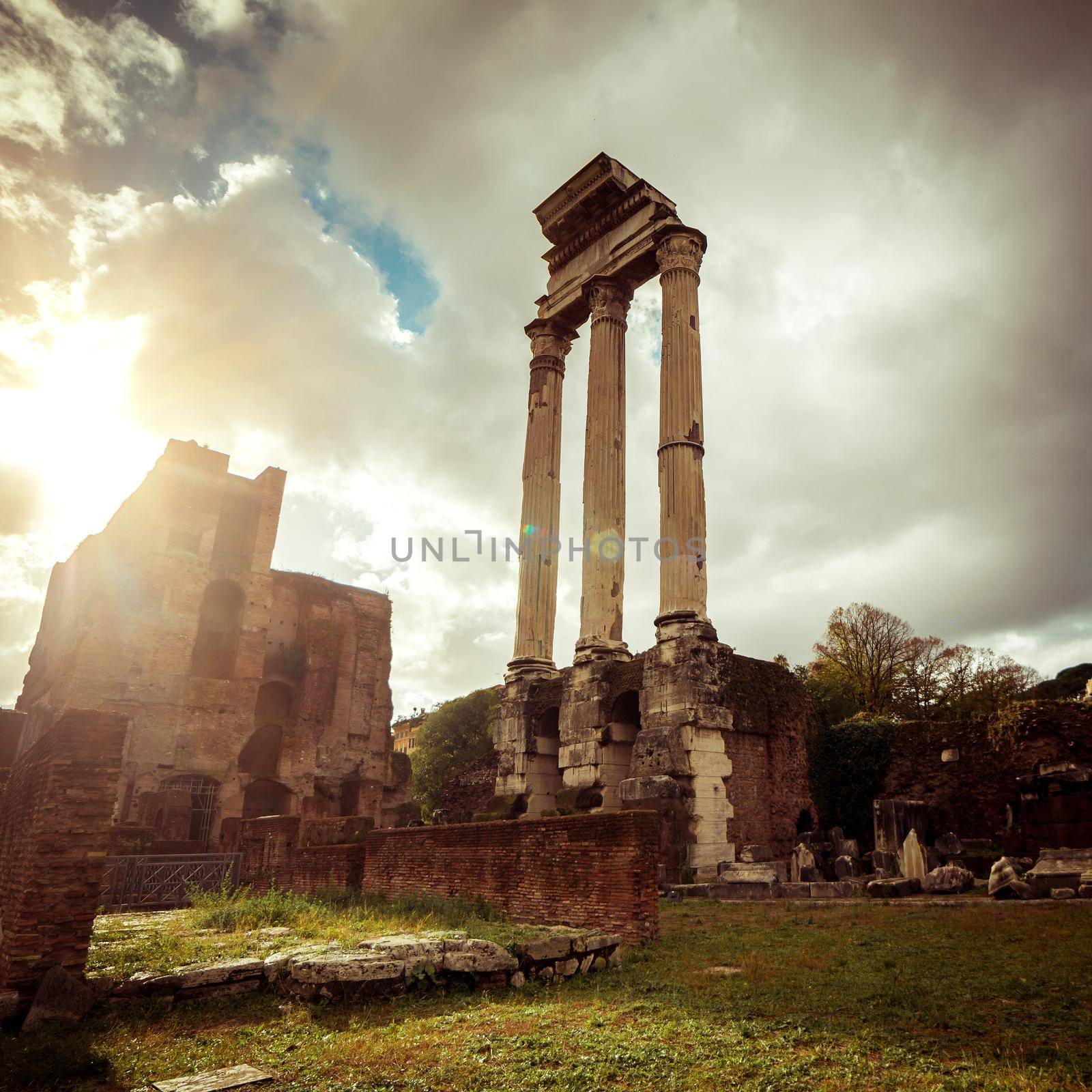 Roman ruins in Rome, Forum. Italy