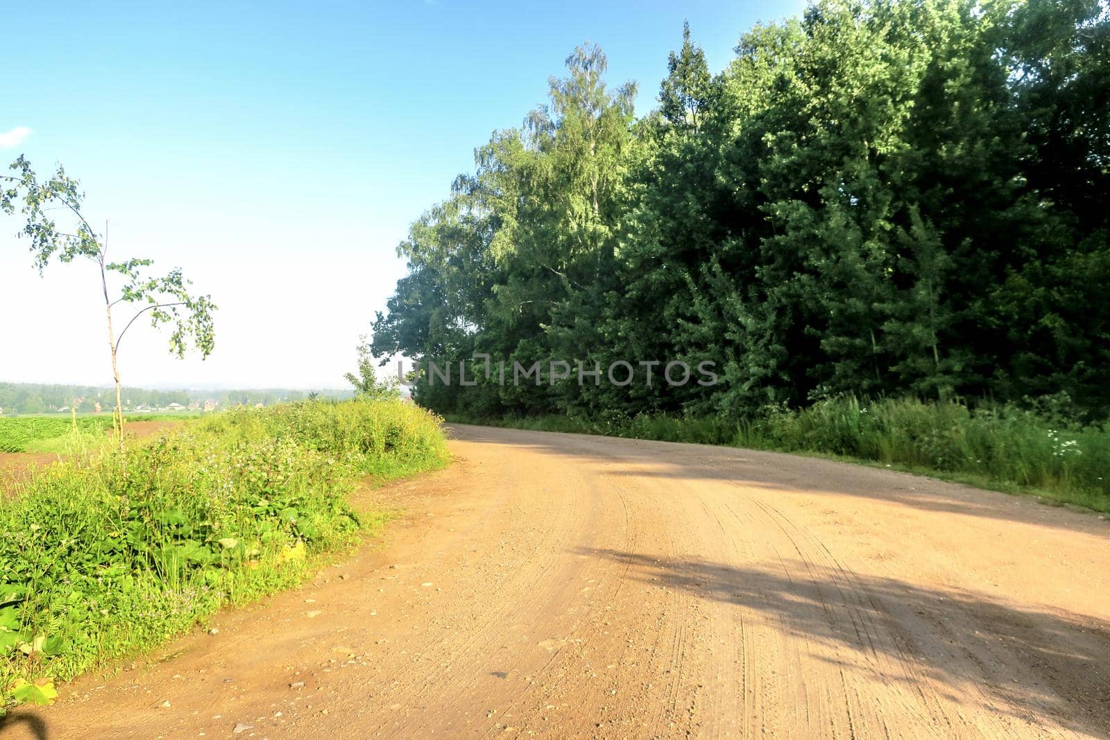 Gravel road on a sunny summer day leading happiness. Relaxing walk along the path. Near the village and summer vacation.