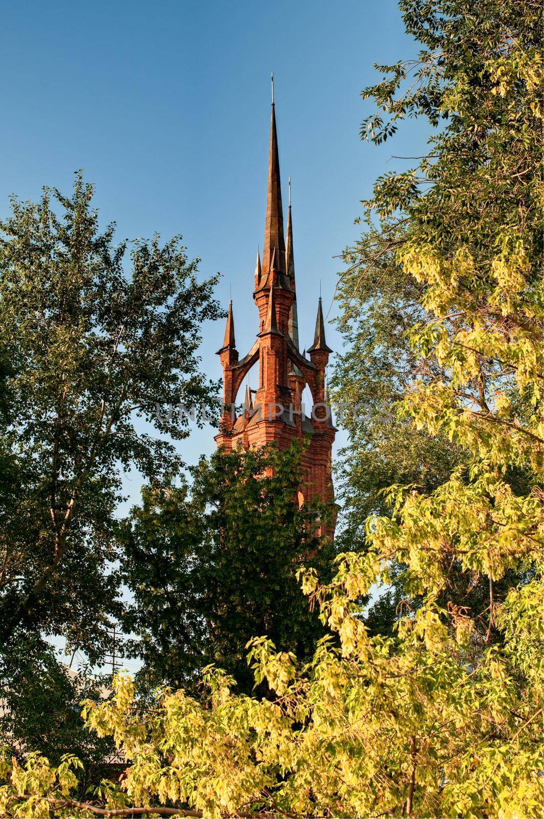 fairy tale, castle like catholic church with trees in foreground and sky in background