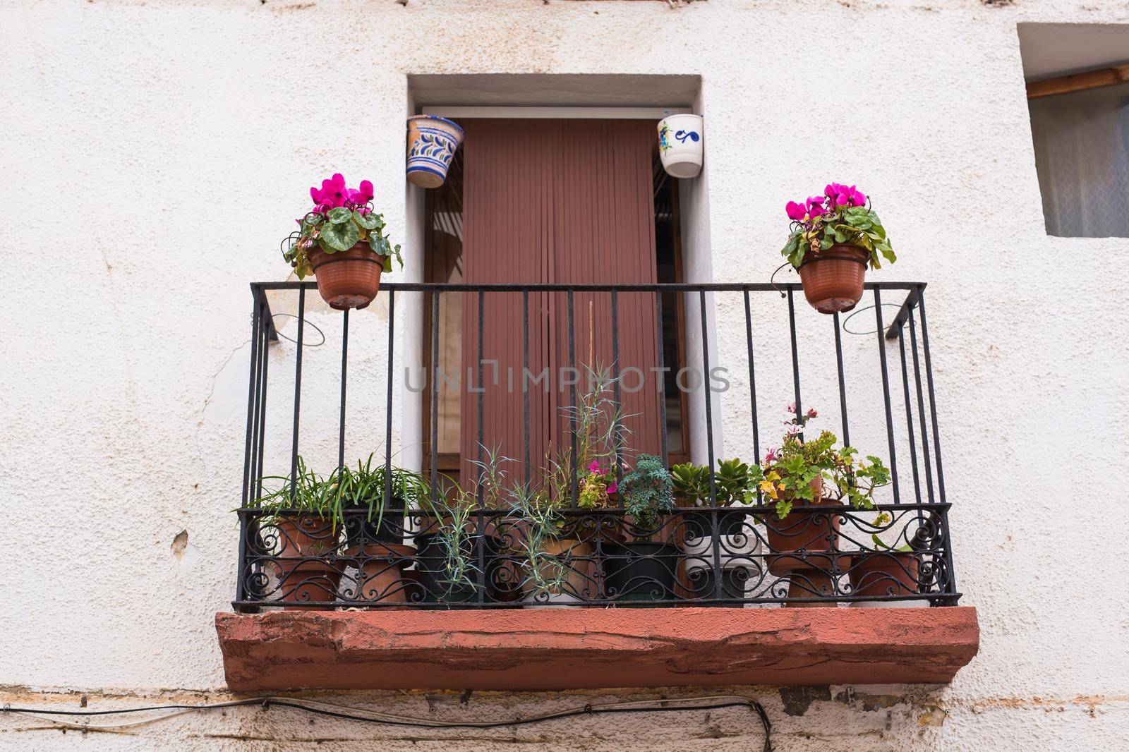 Classic balcony with flowers and green plants. by Satura86