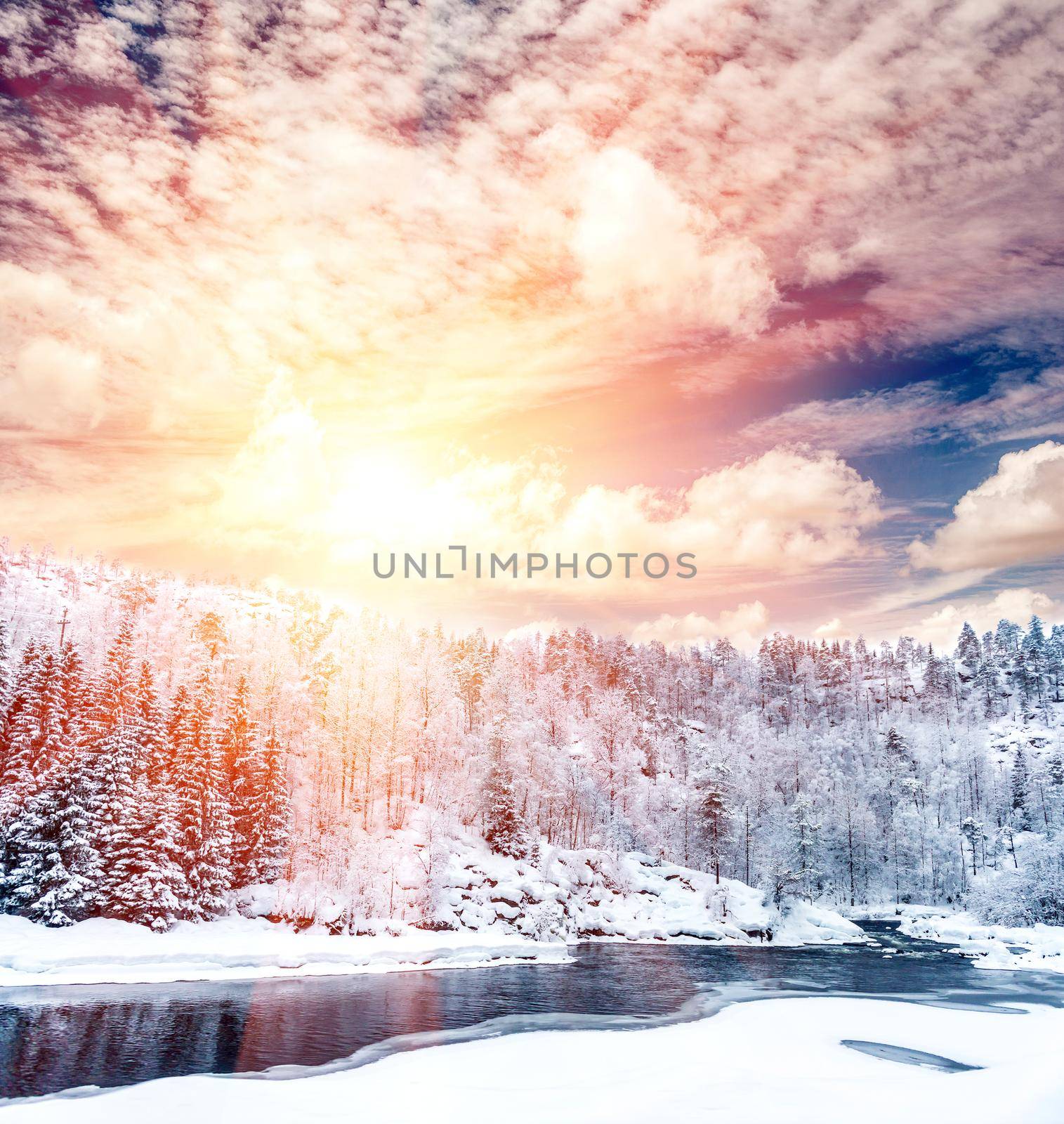 Amazing winter river and forest sunshine landscape