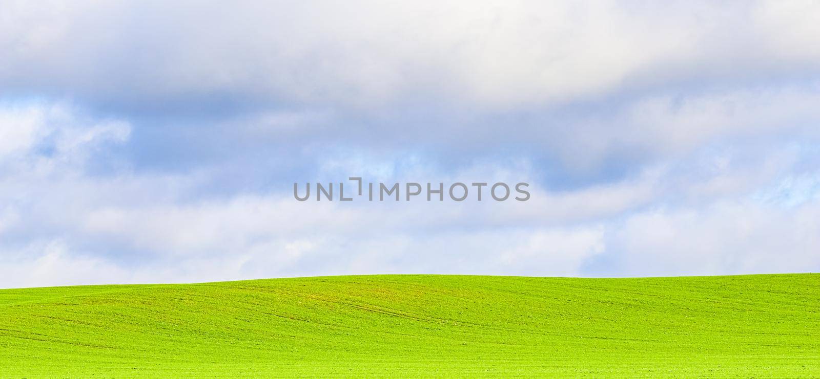 Green grass field on hills and blue sky with clouds in the countryside. Natural landscape