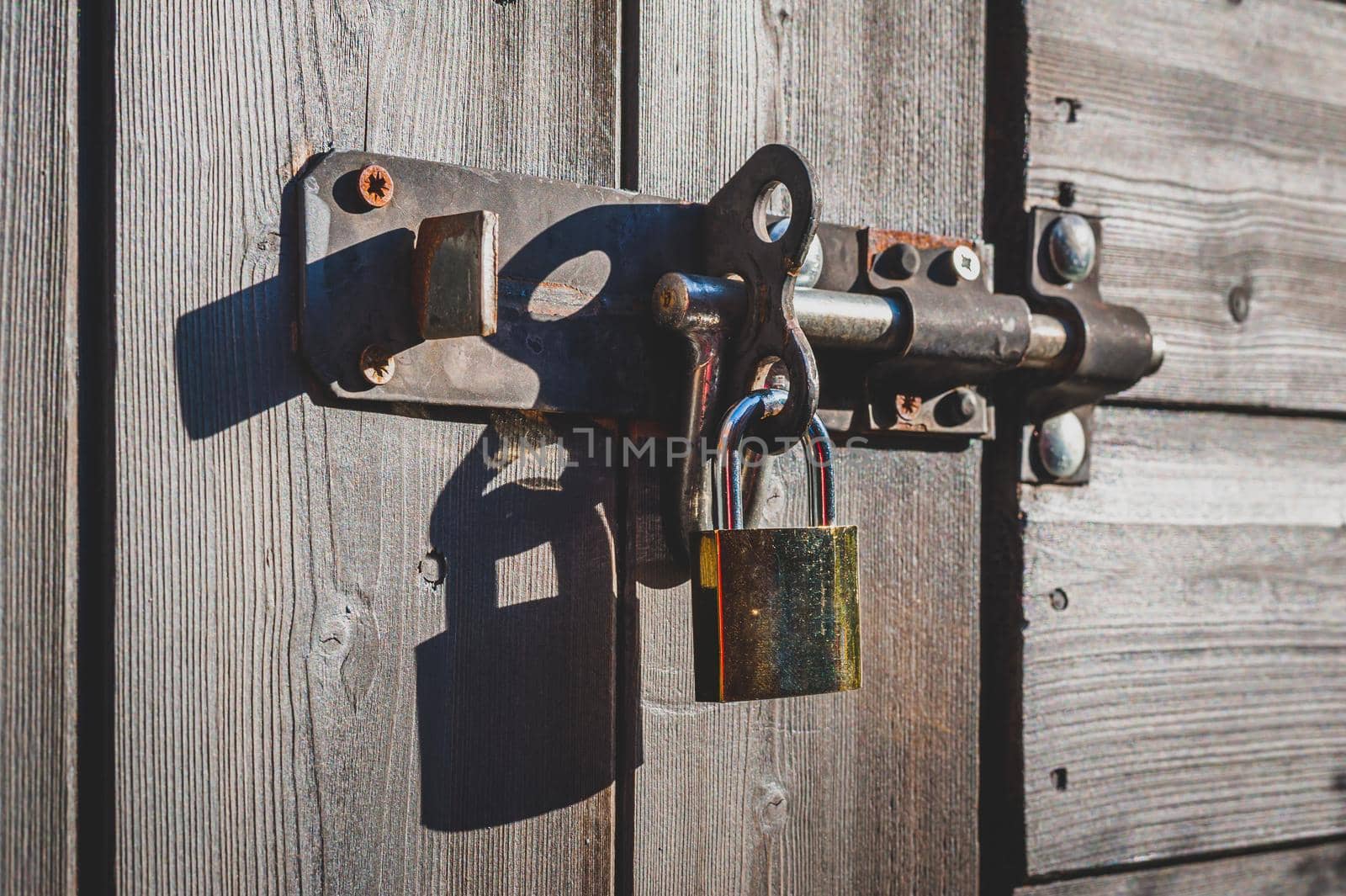 New shiny brass padlock with bolt lock on garden wooden shed door. by Qba