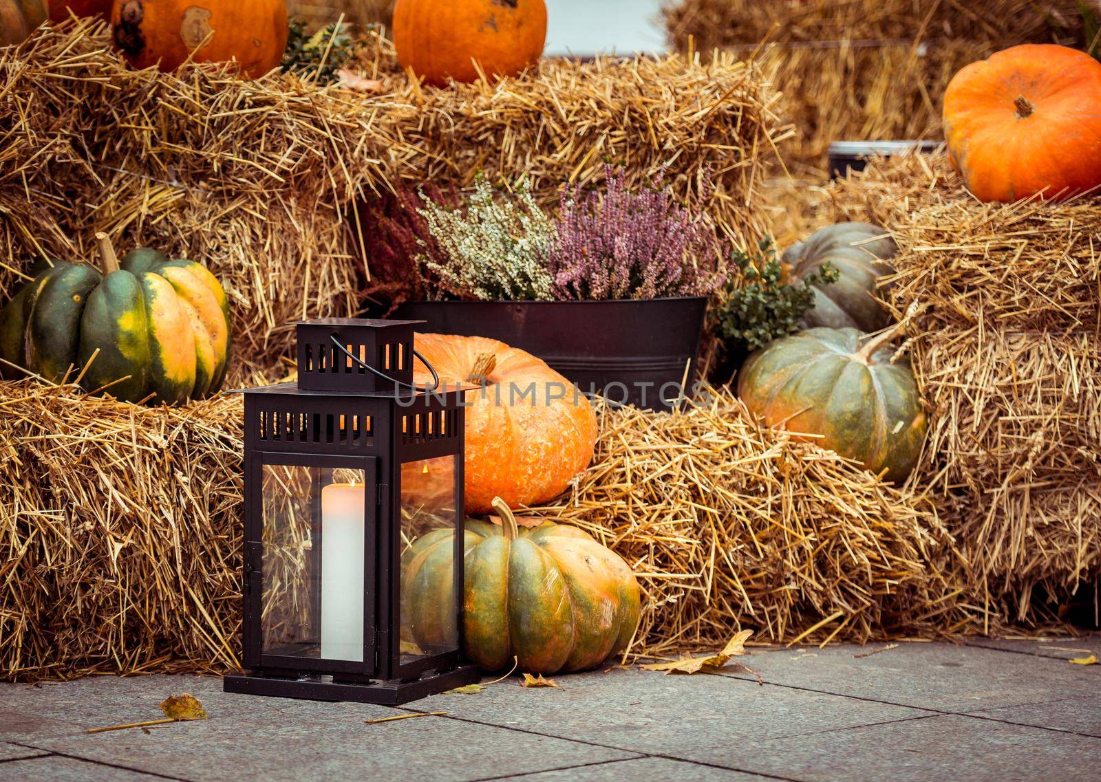 Halloween pumpkins on the street