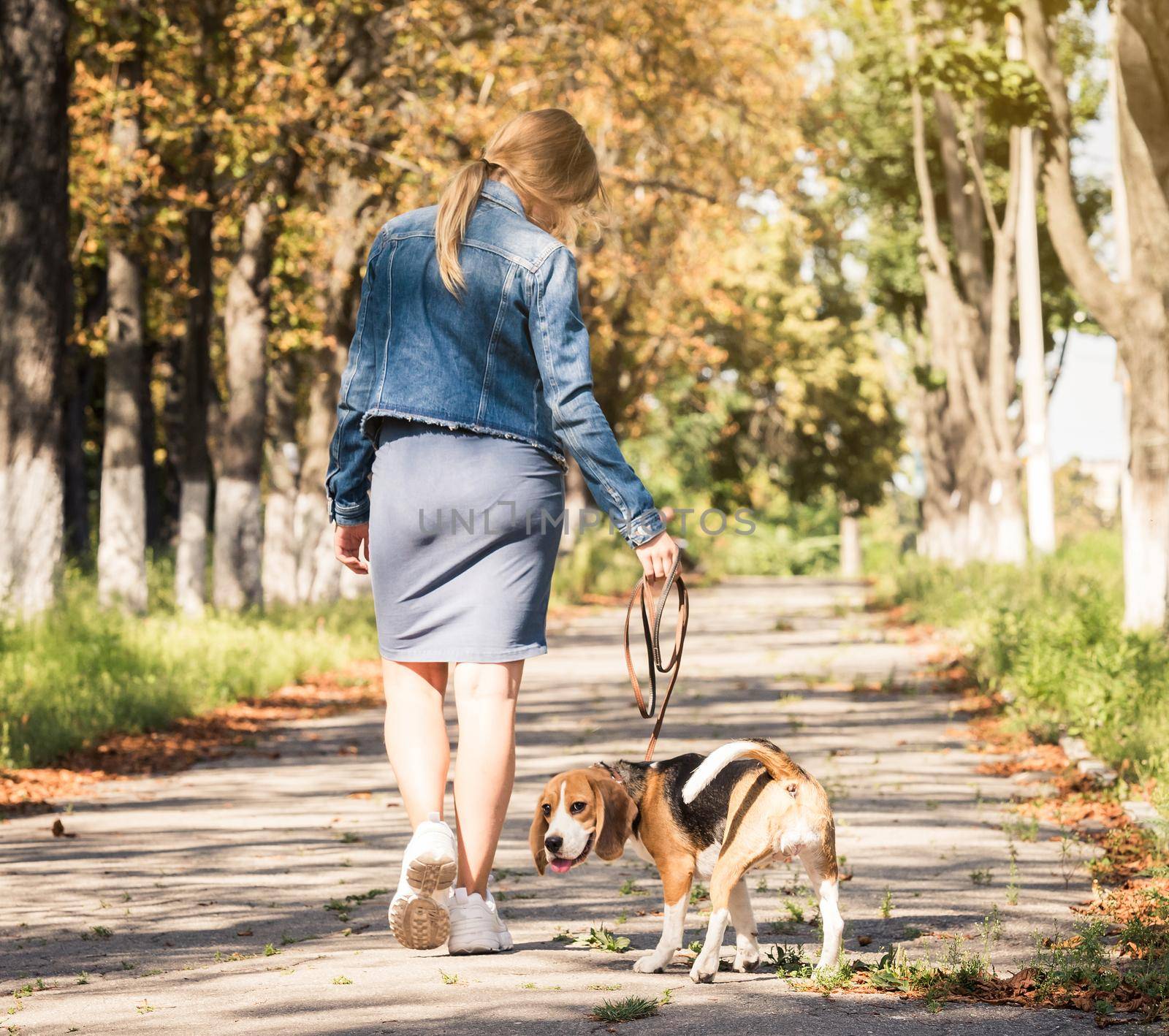 Blond girl walking with cute puppy on the sunshine autumn park alley