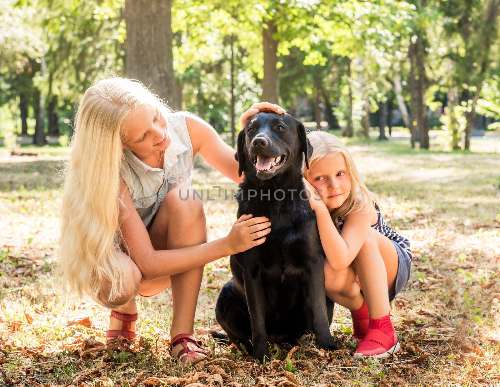 Pretty little blond girls sit hugging a black retriever in a sunshine autumn park