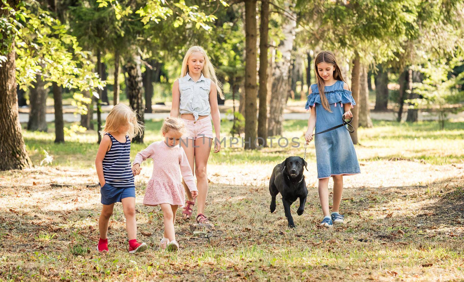 Little girls walking with a black dog in a park by tan4ikk1