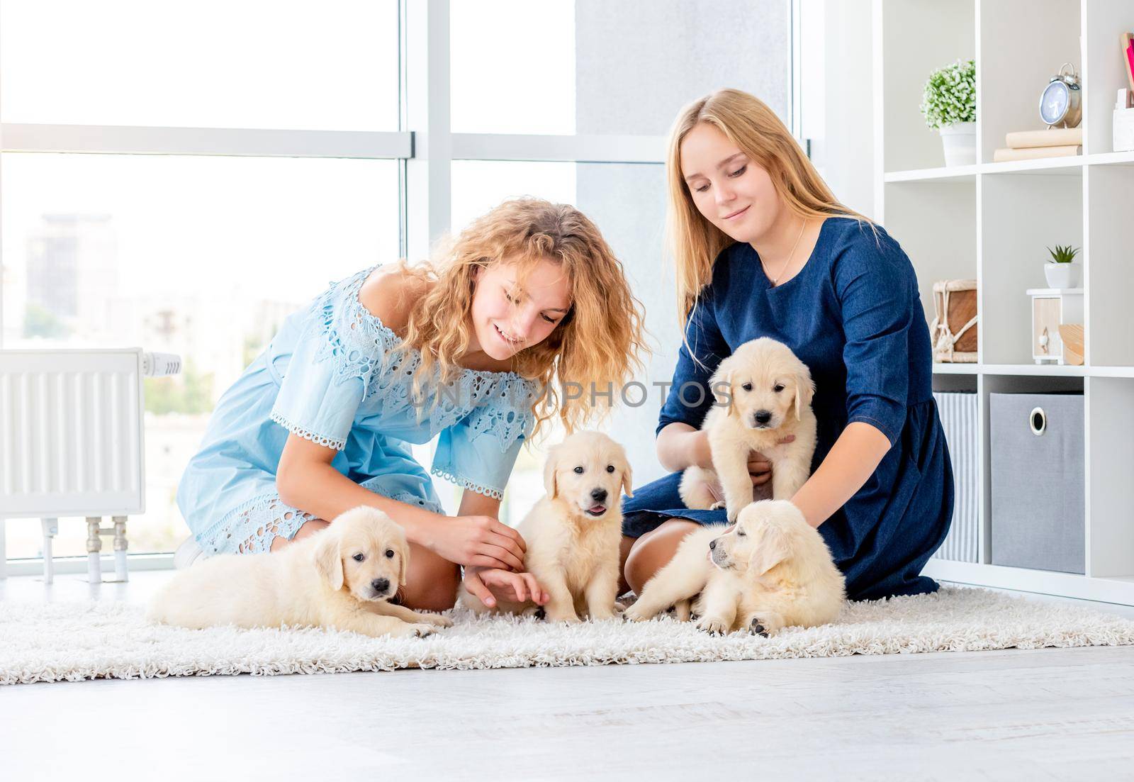 Beautiful girls playing with retriever puppies in light room