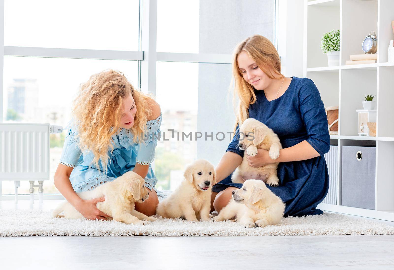 Happy girls playing with golden retriever puppies in light room