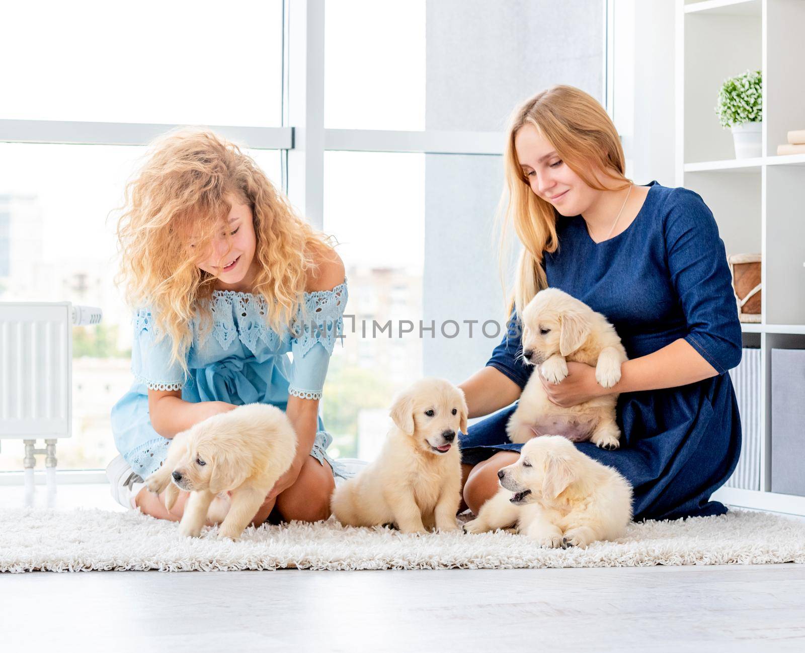 Happy girls playing with golden retriever puppies in light room